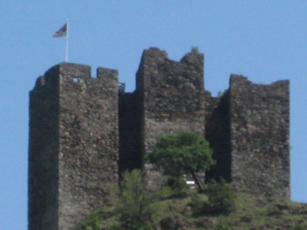 zvecan4.jpg